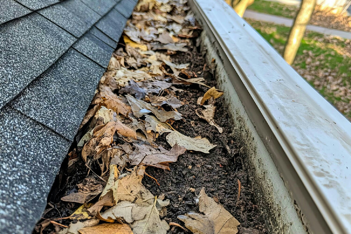 3 mosse sicure per pulire le grondaie e non rischiare mai di salire sul tetto