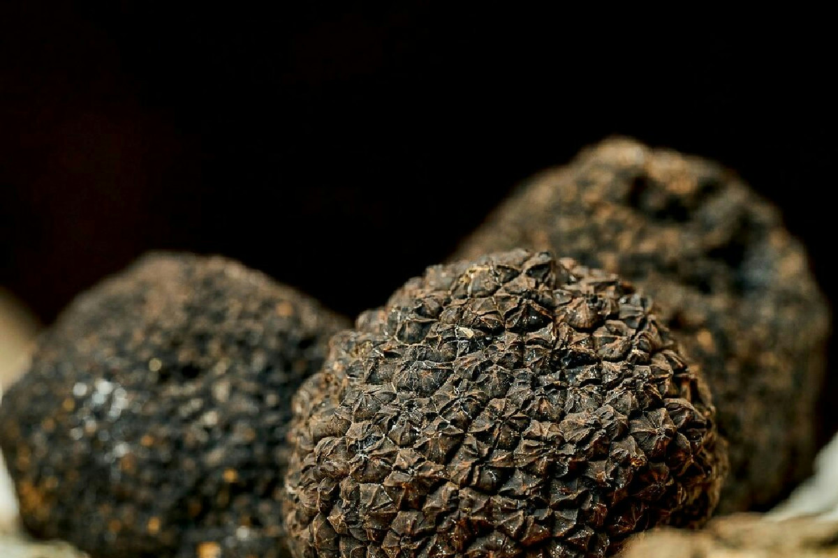 Tra gli Appennini, un angolo dove il tartufo regna e i piatti deliziano il palato con sapori unici
