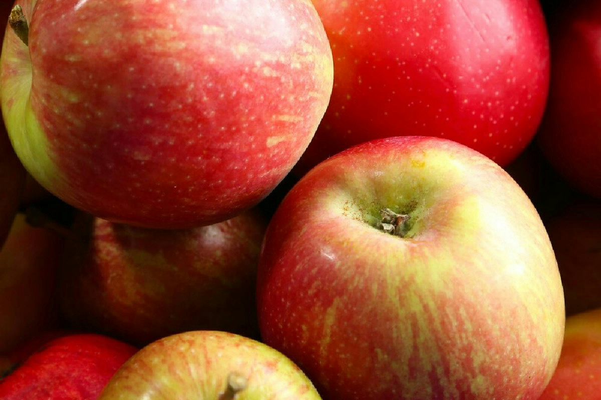 Quando i sapori autentici della Valle d’Aosta svelano tradizioni millenarie e atmosfere uniche